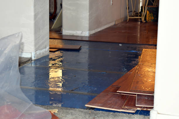 Professional Flood Damage Repair technician working in Krum, TX